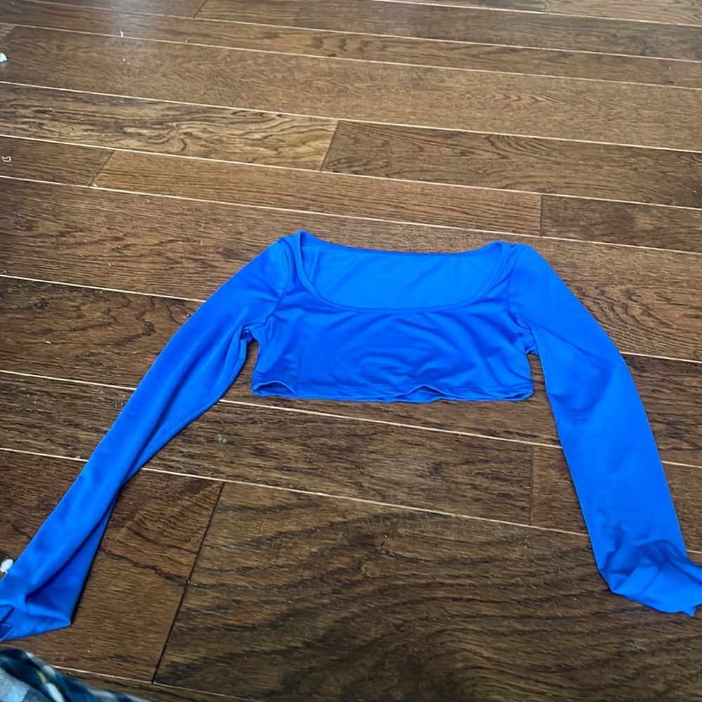 Blue tight cropped long sleeve top